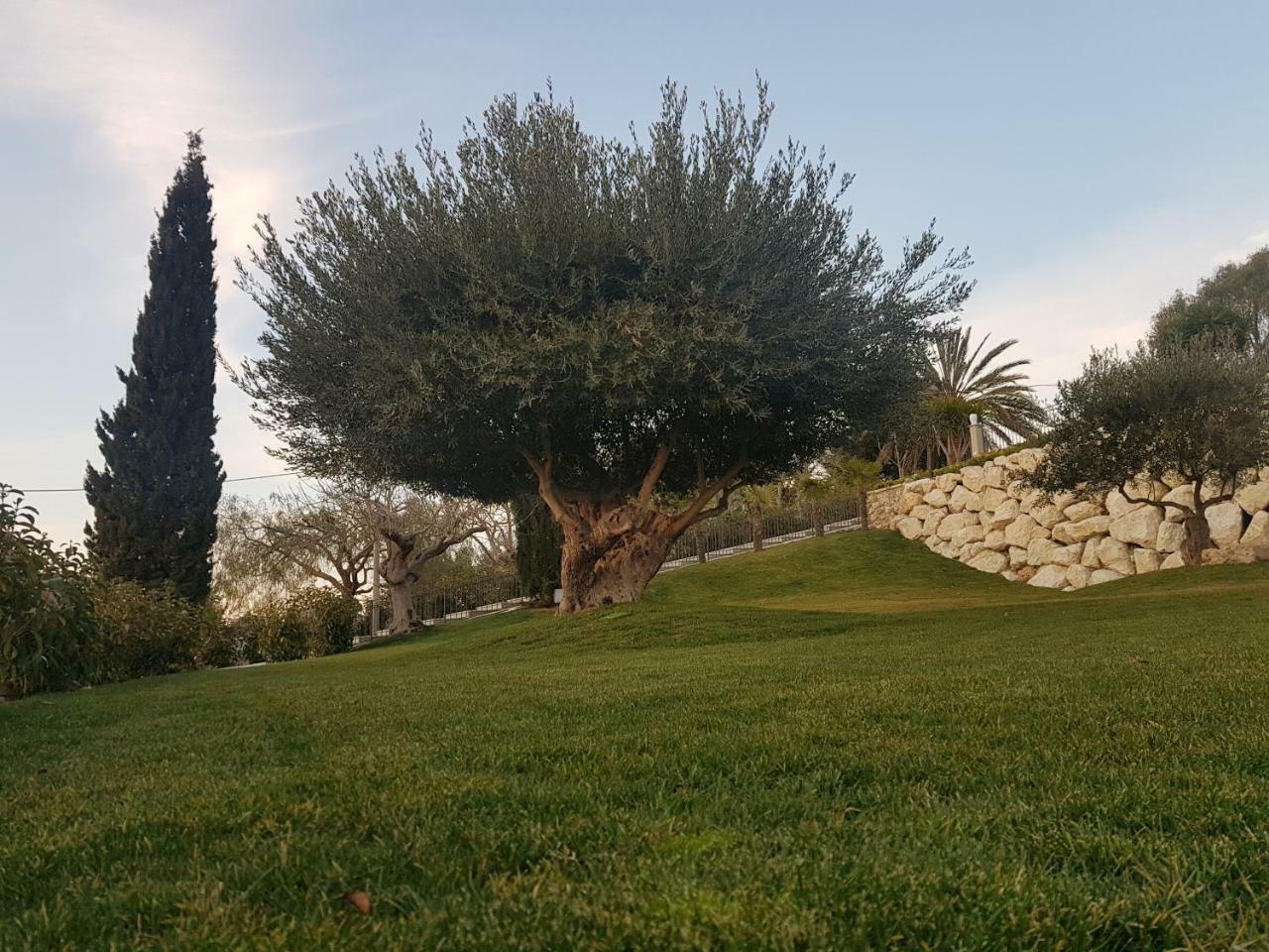 Hotel Villa Flora Relais Caltanissetta Esterno foto